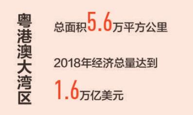 國(guó)家實(shí)驗(yàn)室開放、學(xué)科中心開放，共建國(guó)際大灣區(qū)